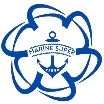 Cleanship Logo